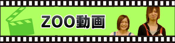 ZOO動画